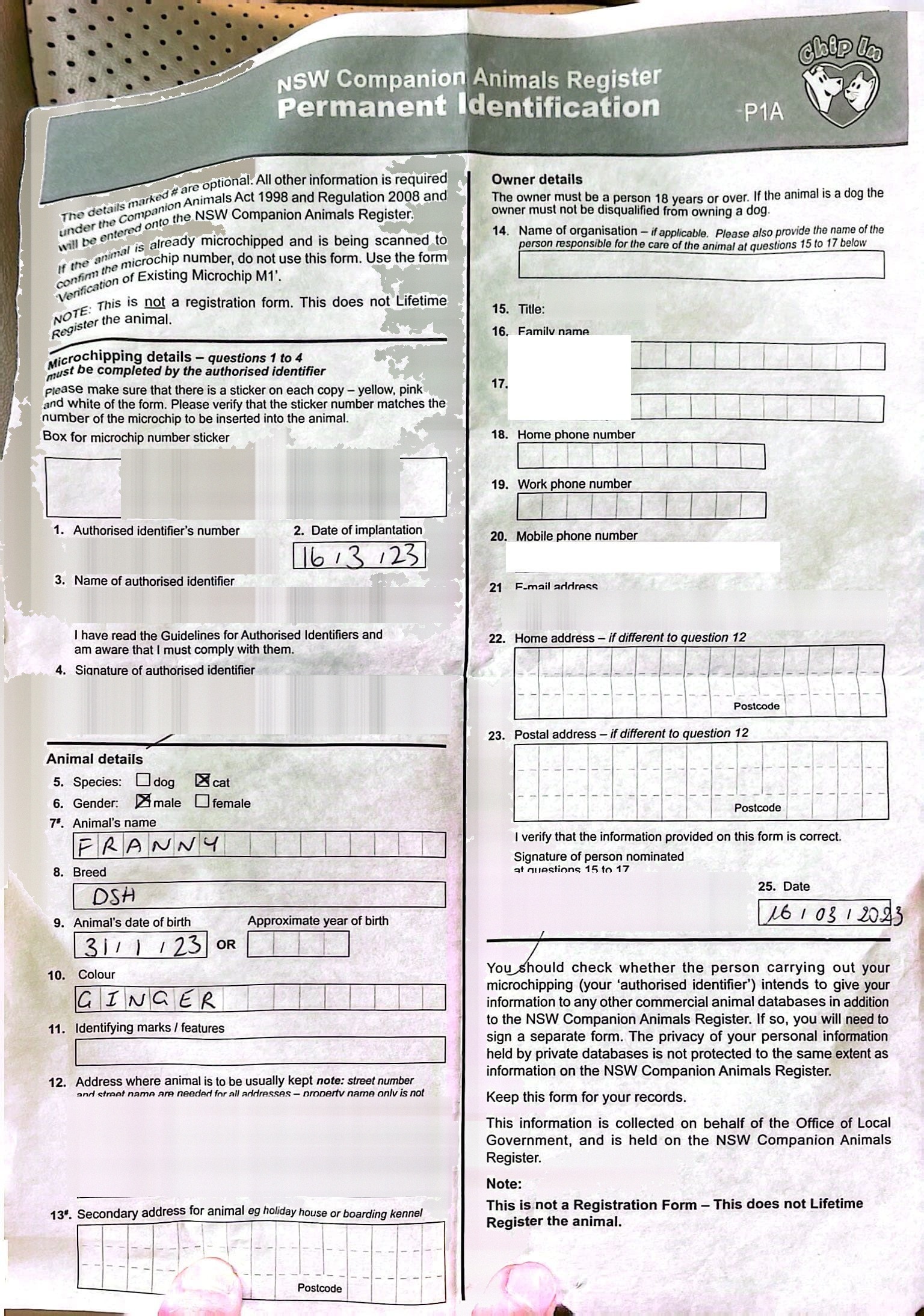 Official microchip identification record for pet export to Australia