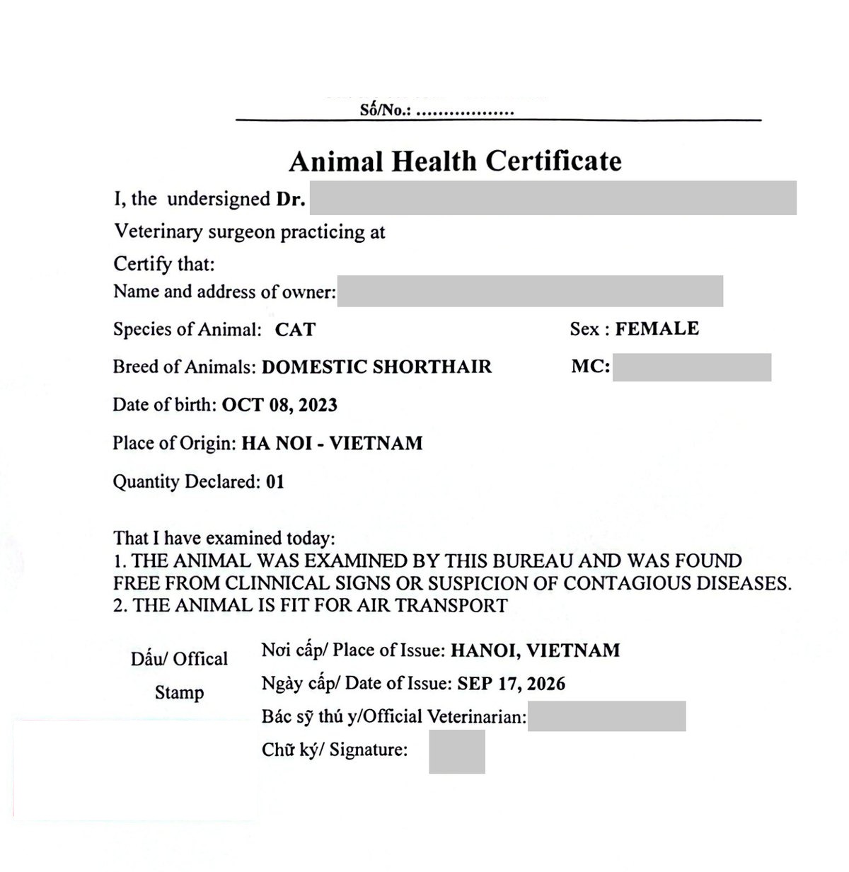 Fit-to-fly certificate from a Hanoi veterinary clinic stating a cat is fit for air transport, with personal details hidden