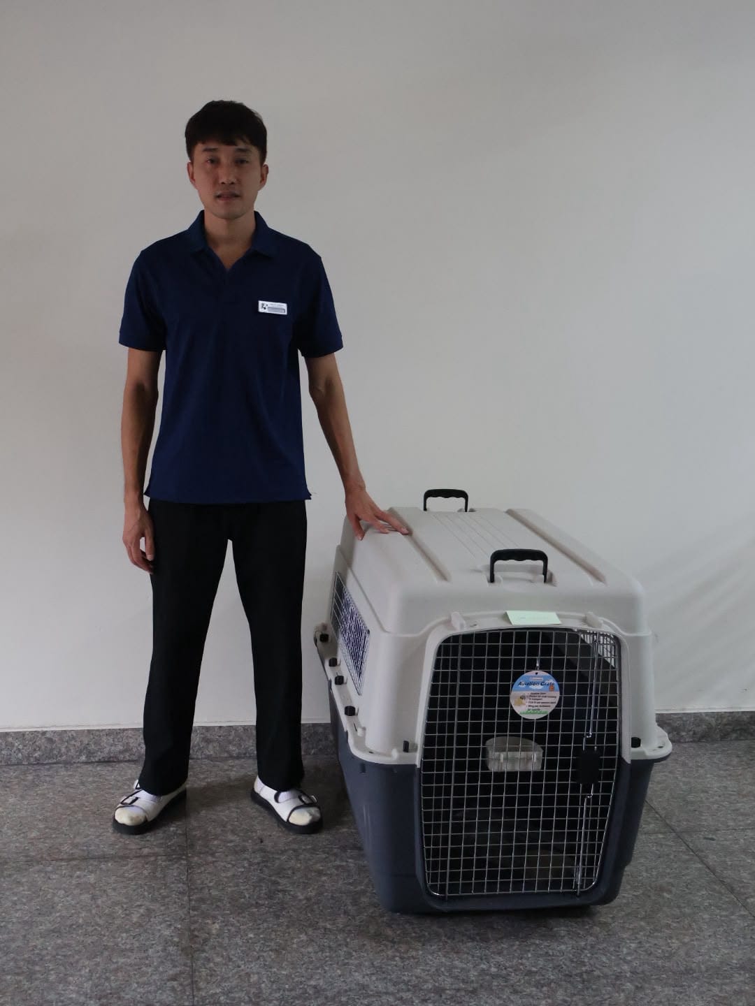 Staff member beside an L100 IATA dog crate, a size that raises the chargeable weight and the pet transport cost