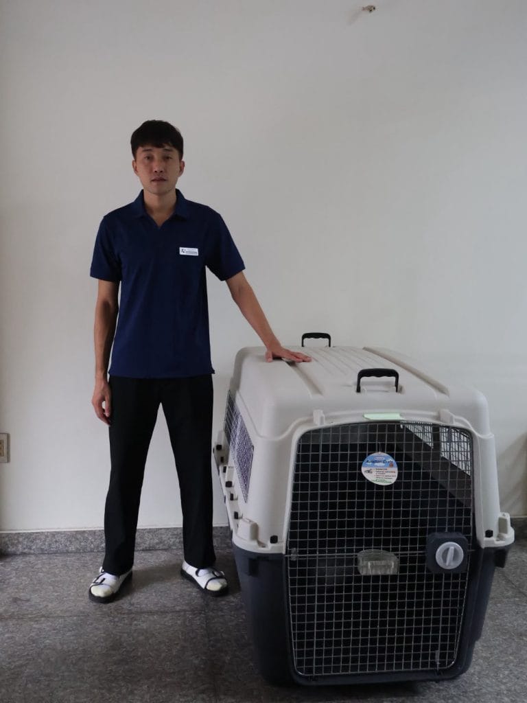 Nhân viên Daisy Pet Transport đứng cạnh lồng IATA L120 để so kích thước