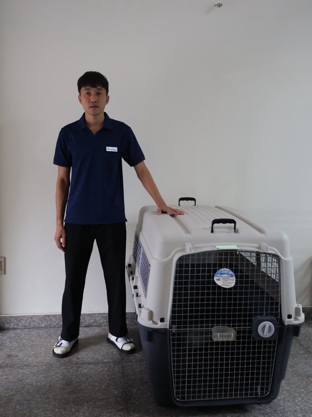 Nhân viên Daisy Pet Transport bên cạnh lồng chó IATA cỡ L120, minh họa kích thước lồng quyết định trọng lượng tính cước cargo từ Việt Nam