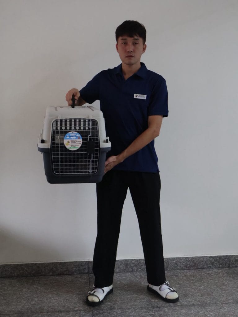 Nhân viên Daisy Pet Transport đứng cạnh lồng IATA L60 để so kích thước