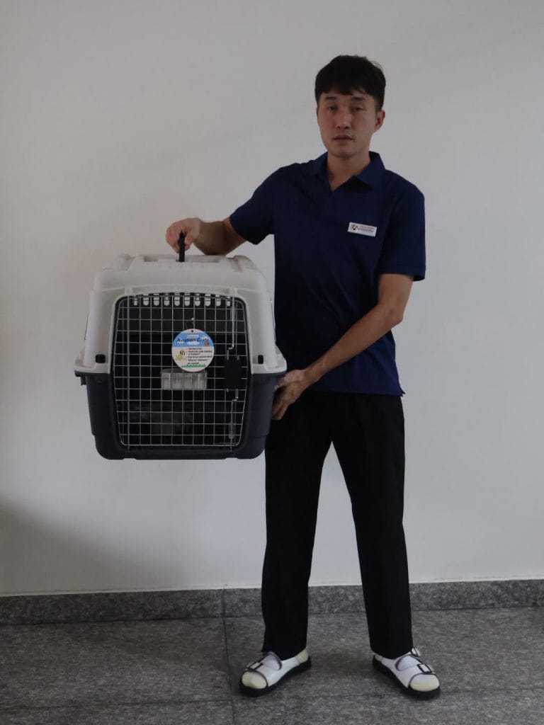 Nhân viên Daisy Pet Transport đứng cạnh lồng IATA L70 để so kích thước