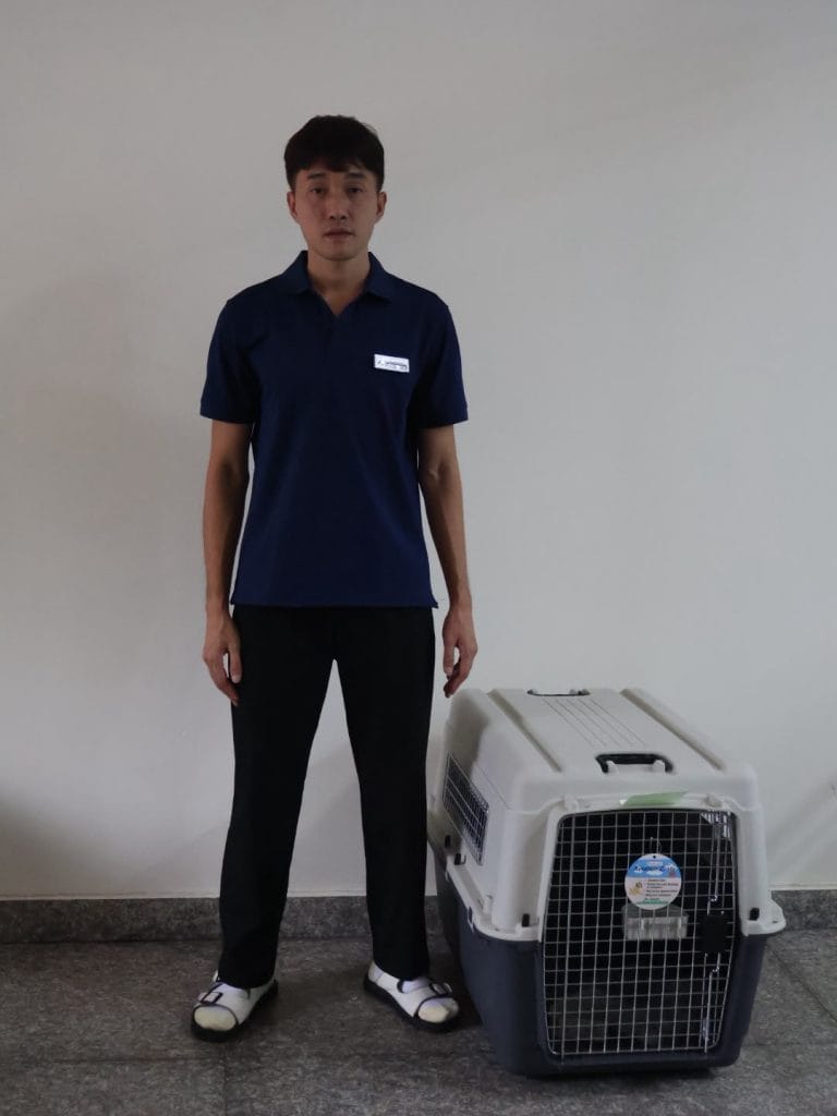 Nhân viên Daisy Pet Transport đứng cạnh lồng IATA L80 để so kích thước