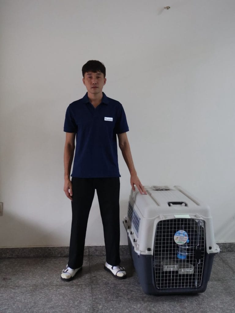 Nhân viên Daisy Pet Transport đứng cạnh lồng IATA L90 để so kích thước