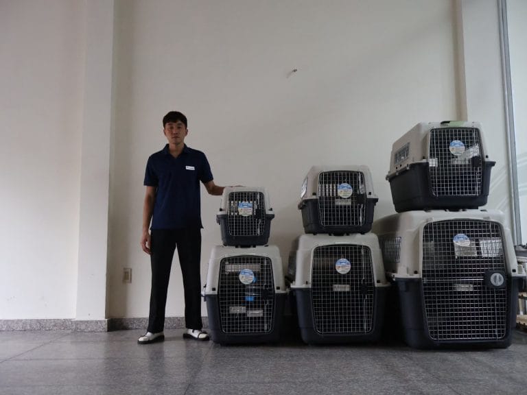 Nhân viên Daisy Pet Transport cùng lồng IATA đủ sáu cỡ tại văn phòng