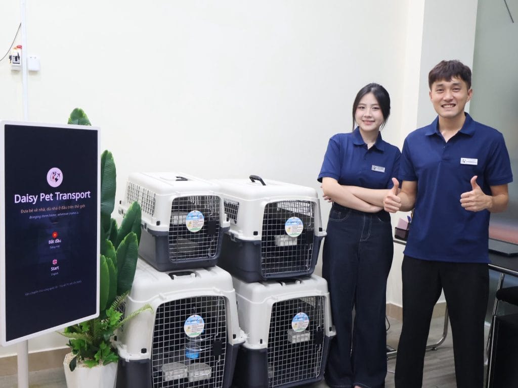 Daisy Pet Transport team beside IATA crates in the office