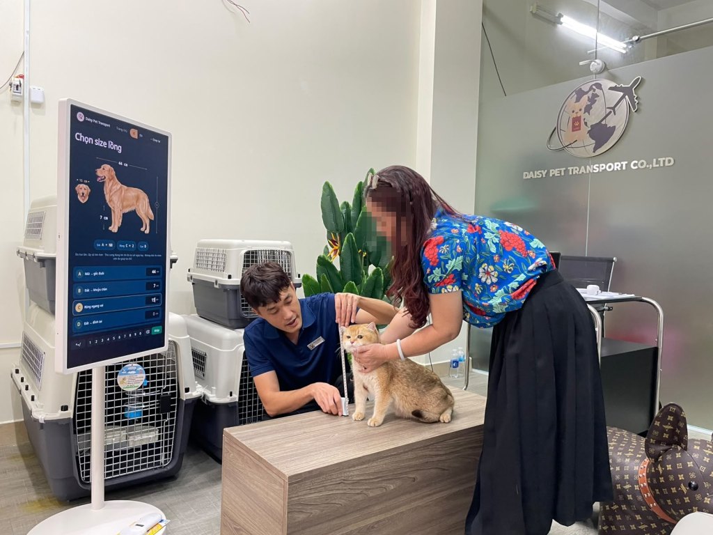 Daisy Pet Transport staff measuring a cat with its owner at the office