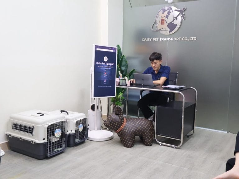 Nhân viên Daisy Pet Transport làm việc tại văn phòng chính
