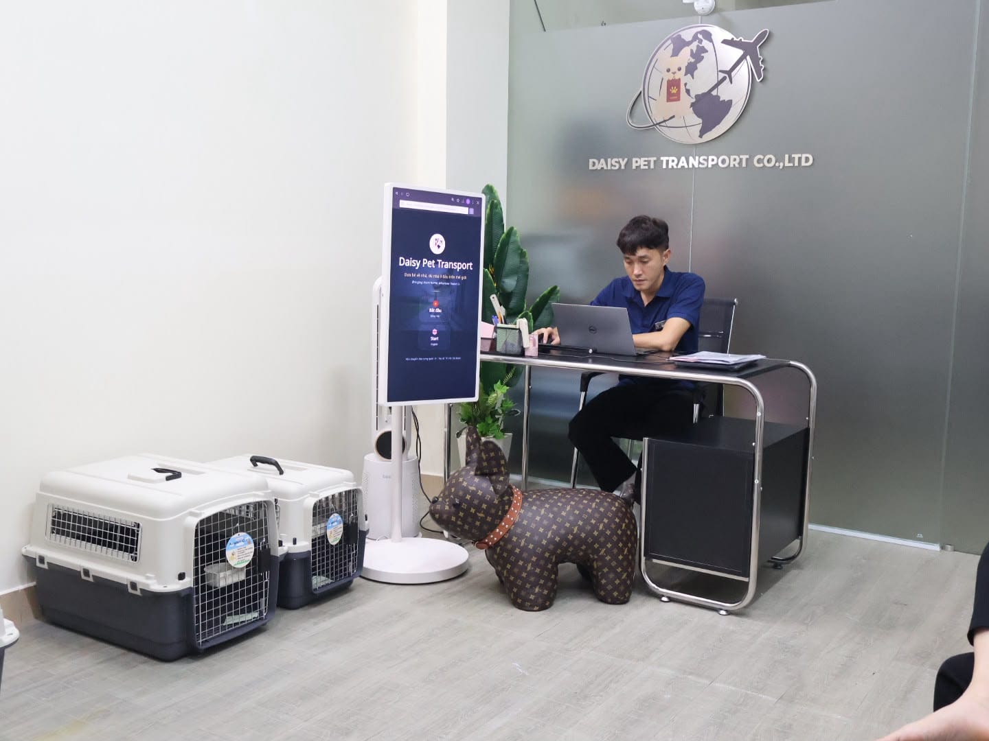 Daisy Pet staff member preparing pet export documents on a laptop at the office in Ho Chi Minh City