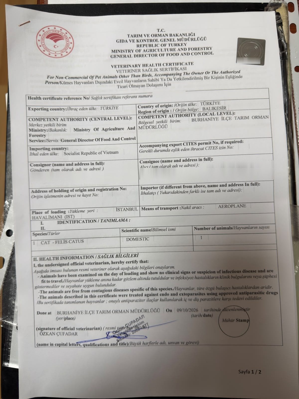 Turkish veterinary health certificate for a cat travelling non-commercially with its owner from Istanbul to Vietnam, personal details removed