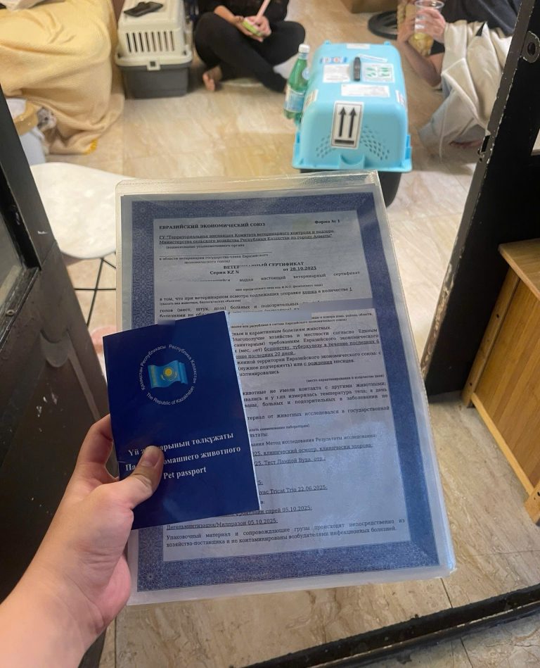Kazakhstan Official Pet Travel Document