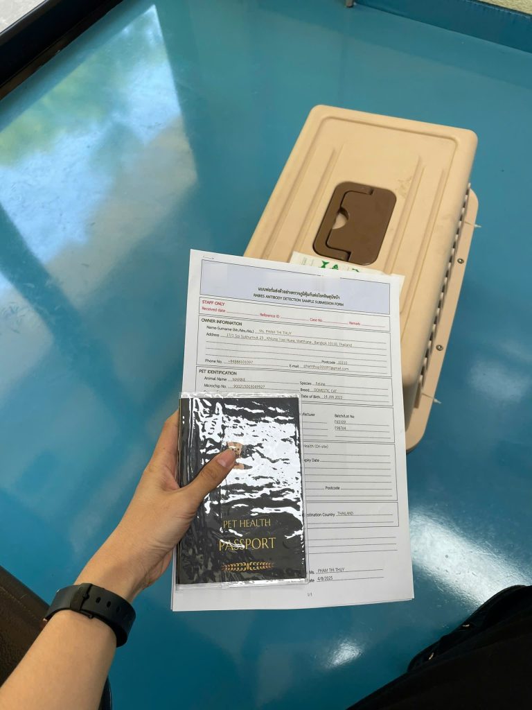 Pet Documents Airport Handling
