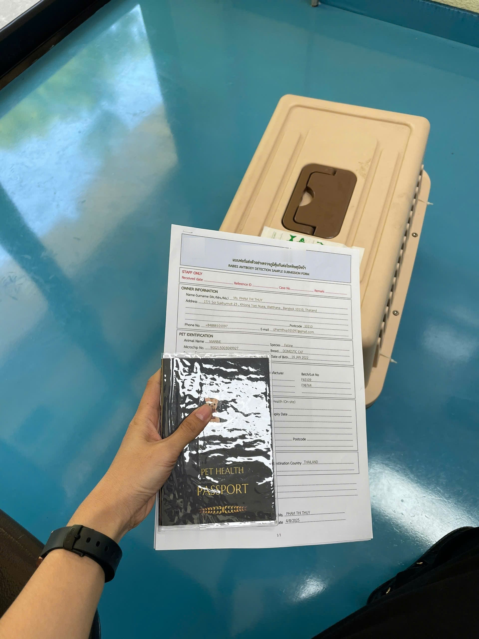 Pet import documents being handled at the airport for EU entry from Vietnam — health certificate, RNATT titer test results verified