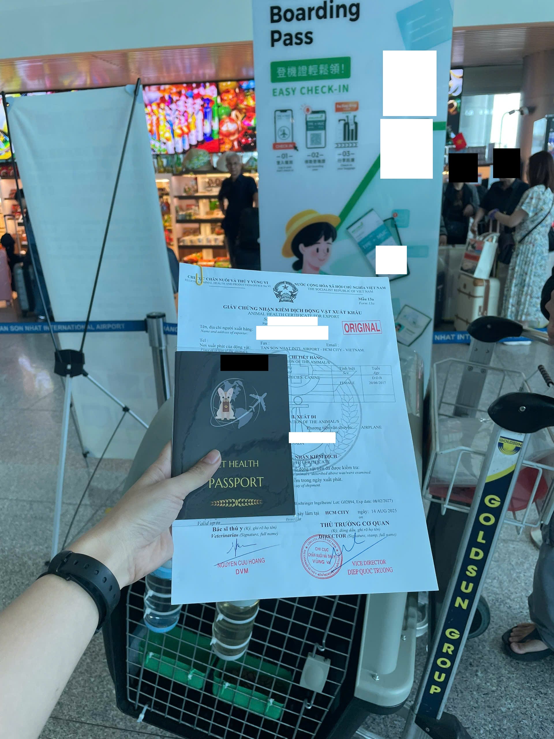 CBSA customs clearance and document review for pets arriving in Canada from Vietnam