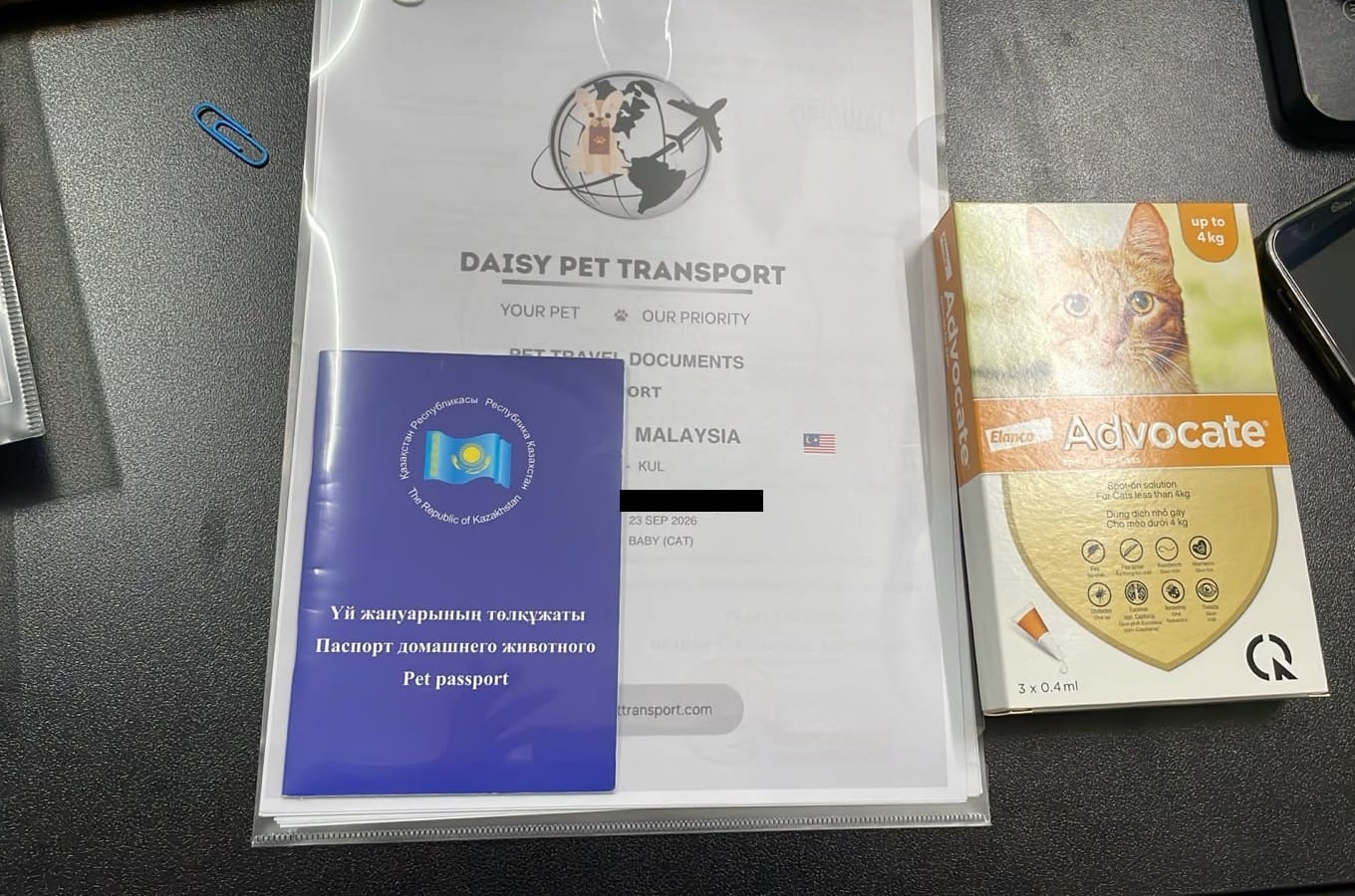 Pet travel document folder for a flight to Malaysia with a pet passport and cat parasite treatment on a desk at Daisy Pet Transport's office